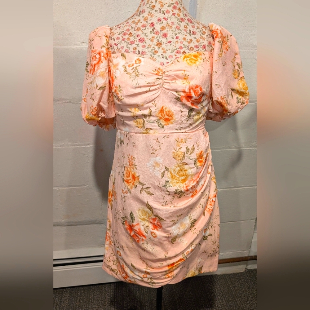 NWT Ever New Melbourne Floral Dress